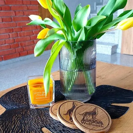 בית הארחה Wolfpack 3*